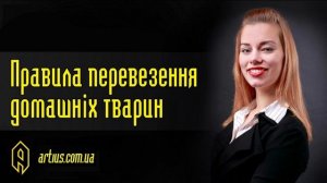 Правила перевезення домашніх тварин