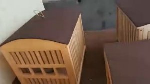 Шикори кабк 2022