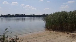 Летняя рыбалка на Каплице в выходной день. Ростовская жара на Дону. Сазанчик и другая рыбка в садке