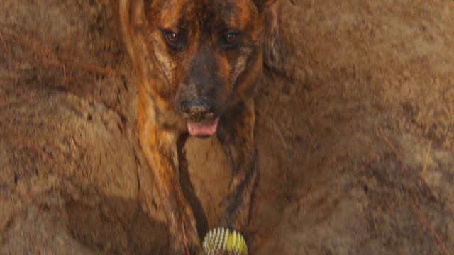 A Day in the Parks, Krasnagorsk-3 Super 16mm Camera [4K] смотреть онлайн