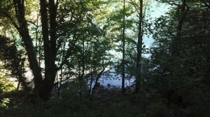 Рица/ Птичий водопад/ Молочный водопад