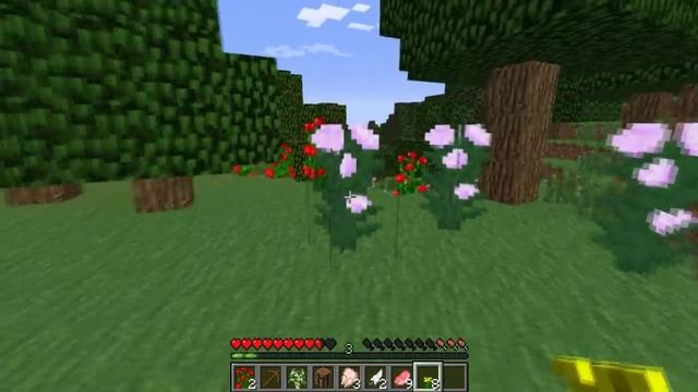 Shadow Minecraft Comes Alive - Episode 1 | ADOPTION!?! смотреть онлайн