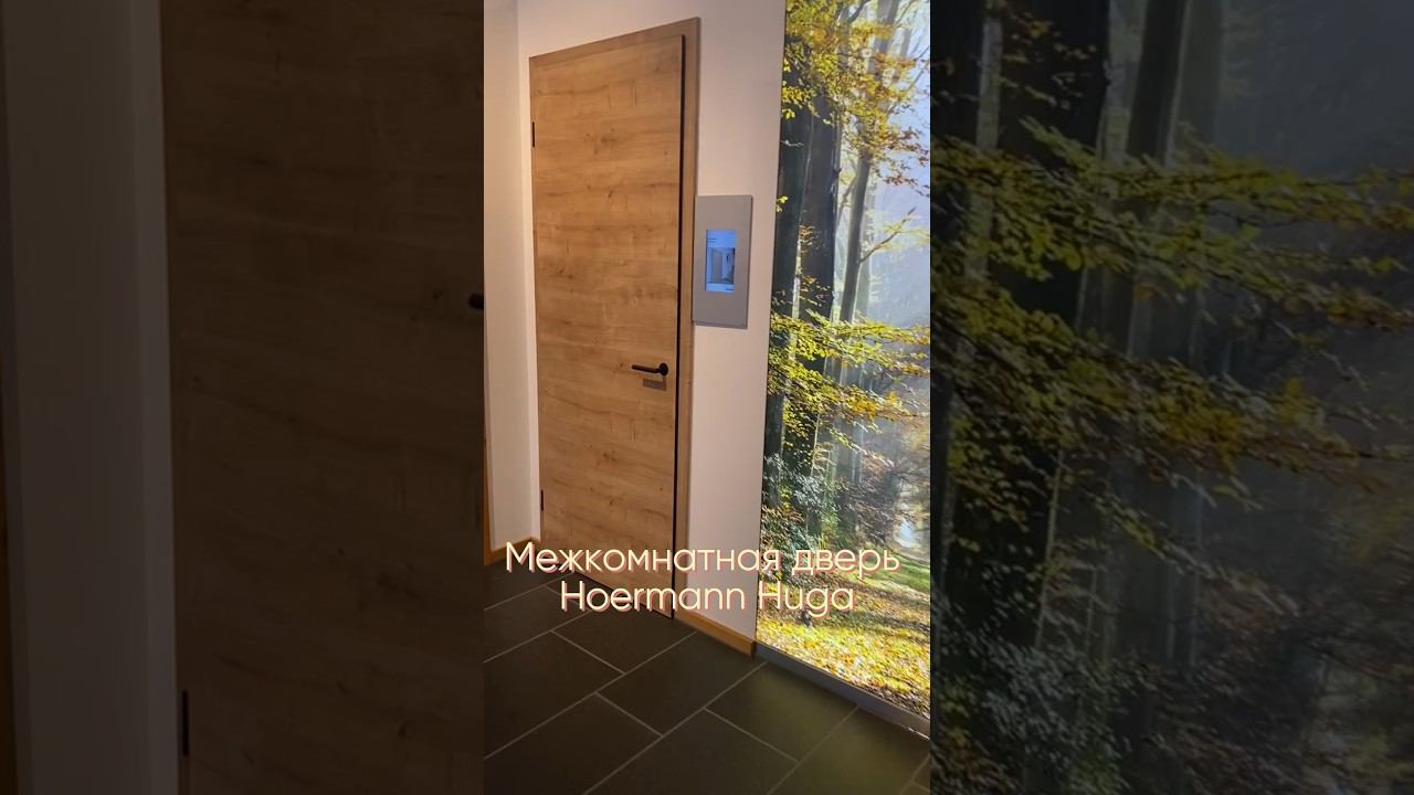Межкомнатная дверь #hormann #huga #вратарь #ворота #kingsgates #гараж #дом #двери #фабрикапользы смотреть онлайн