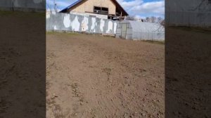 27 апреля 2023 г. Готовим землю под картофель. Чтобы сохранить влагу