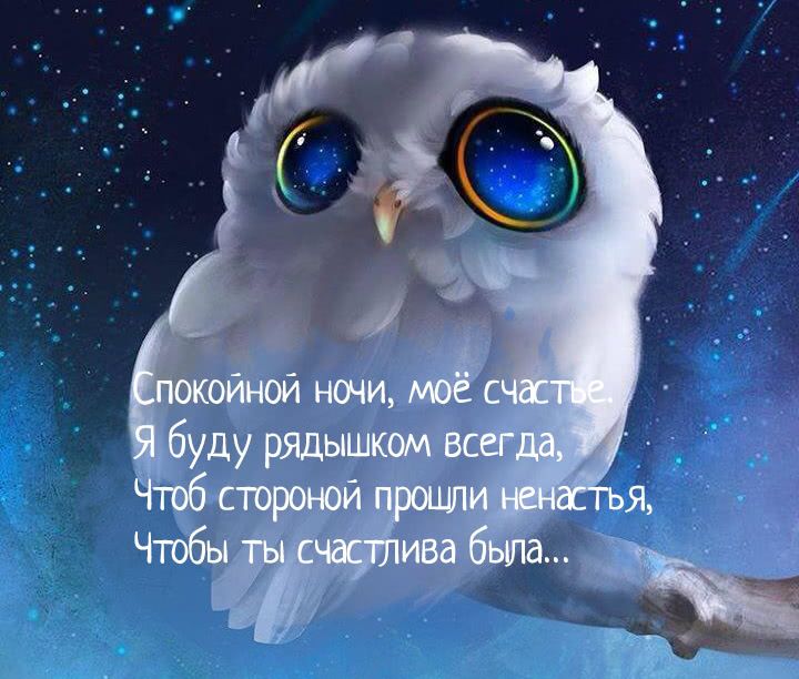 Доброй Ночи Сладких Снов !