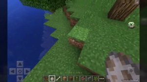 Как посадить собаку в лодку