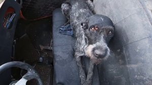 Моргуновка 1963 года на соревнованиях