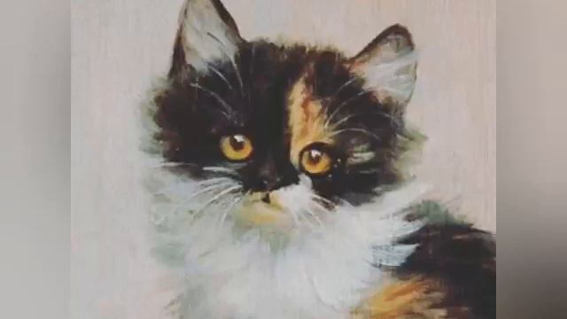 Песня котопрыг на укулели смотреть онлайн