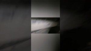 MAN TGS ошибка EBS 4618