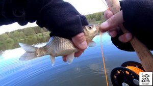 Нахлыст, первые шаги 2. Караси.