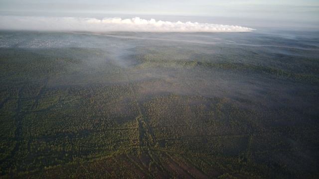 Лесной пожар в районе г. Ухта Республики Коми август 2022 смотреть онлайн