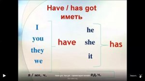 "Части тела. Введение конструкции have/has got"