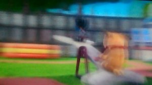 Дружные мопсы