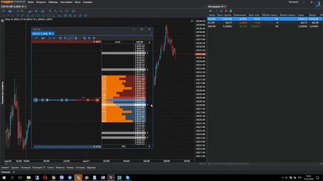 Биржевой стакан в TigerTrade