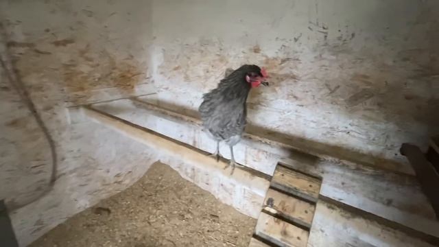 на младшего СЫНА свалилось ВСЁ, чего и не предполагали смотреть онлайн