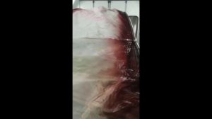 Полная покраска TOYOTA Land Cruiser от автоателье CarLife