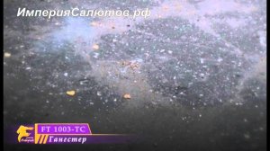 FT-1003-TC Гангстер. www.isalutov.ru тел.: 8908 992-43-53 / 89146649499