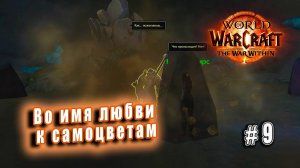 World of Warcraft: The War Within - Остров Дорн: Во имя любви к самоцветам (9)