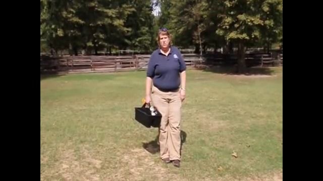 Field Surgery: Equine Castration Part 1 смотреть онлайн