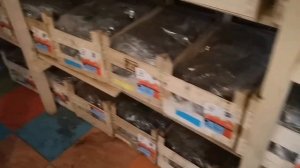 Рассада КЛУБНИКИ ФРИГО из Голландии!