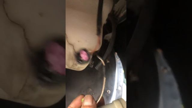 Bomba de limpia parabrisas Chevrolet Malibu. смотреть онлайн