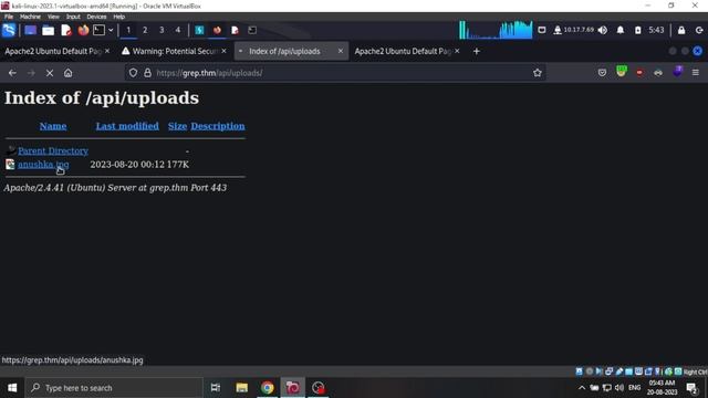 Tryhackme Grep Walkthrough - OSINT, Upload bypass, vhost смотреть онлайн