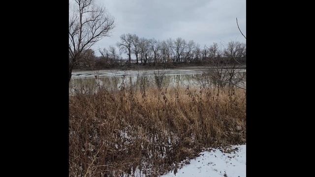 Краснодарский край - Кубань зимой. Река Протока. Утка на реке. Февраль 2023. Kuban in winter 2023. смотреть онлайн