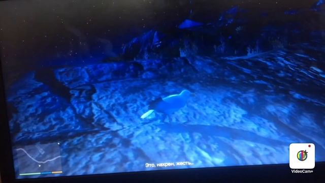 Где найти лофофору смотреть онлайн