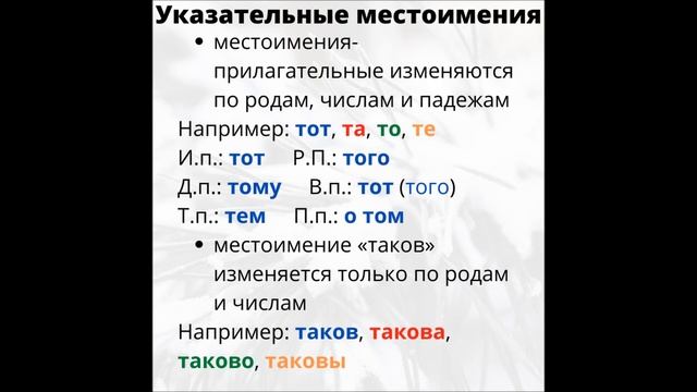 Местоимение. Указательные местоимения