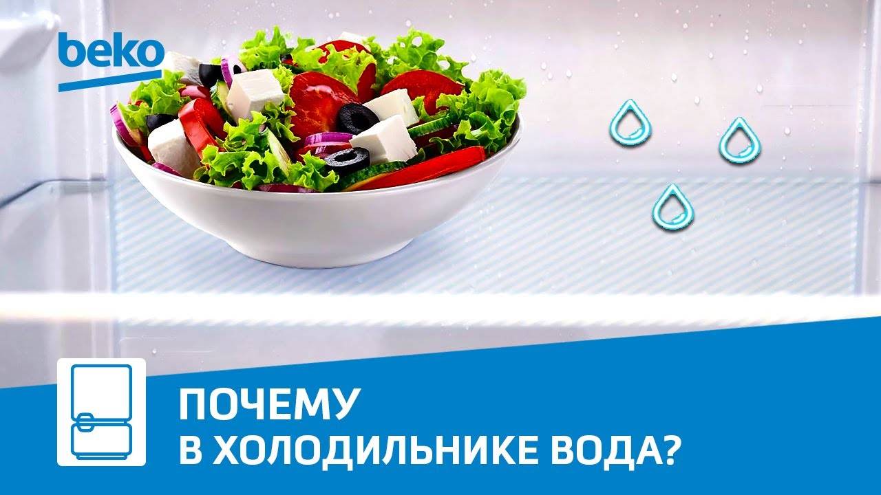 Что делать, если в холодильнике Beko собирается вода?