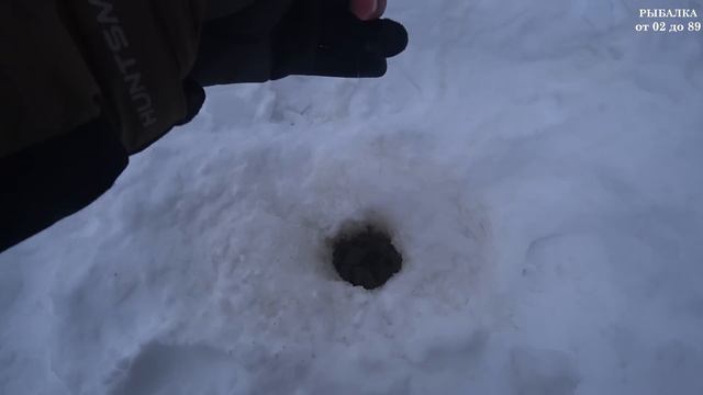 Язь, Окунь и Сорога, размером с Язя, удачная рыбалка в середине января. Зимняя рыбалка 2024. Часть смотреть онлайн