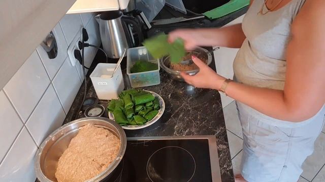 Виноградные листья не выкинула, а приготовила ужин #влог #жизньвгермании #моибудни #готовимдома смотреть онлайн