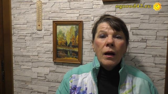 Клещевину пора высевать на рассаду смотреть онлайн