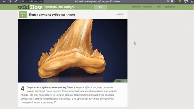 ТЕПЕРЬ МЫ ЗНАЕМ КАК ИСКАТЬ АКУЛЬИ ЗУБЫ смотреть онлайн