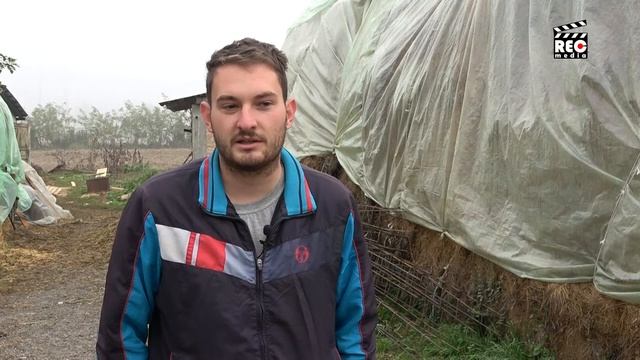 Stočar iz Godovika смотреть онлайн