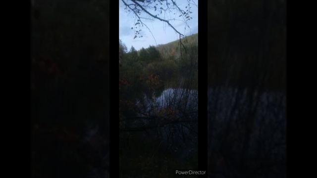 Комиссар Сказочные сны смотреть онлайн