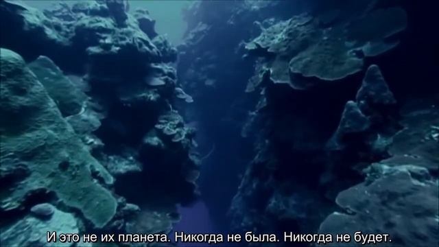 Природа говорит / Харрисон Форд - Океан