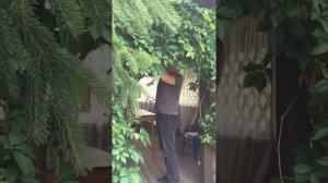 Мягкие окна/гибкие окна/жидкое стекло. Обзор беседки