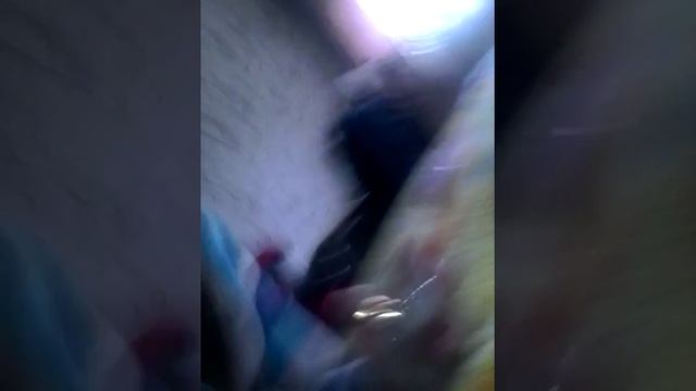 Как ухаживать за котикам смотреть онлайн