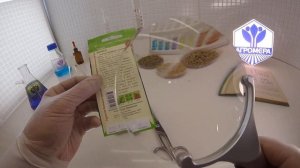 Томат Бочата. Семена Алтая