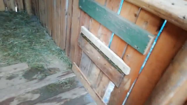 Где живут мои алабаи ?️??? смотреть онлайн