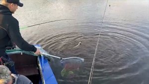 Карелия 2021. Водлозеро