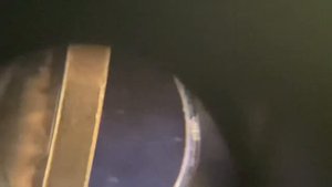 ? 1 ГРИВНА 2010 года❗️Дорогая и редкая монета Украины❗️