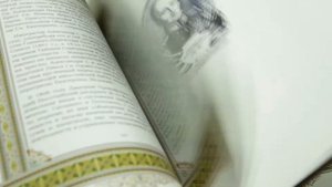 Дмитрий именная книга (Кожаный переплёт)