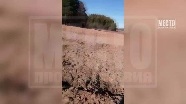 Скотомогильник у деревни Вересниковщина