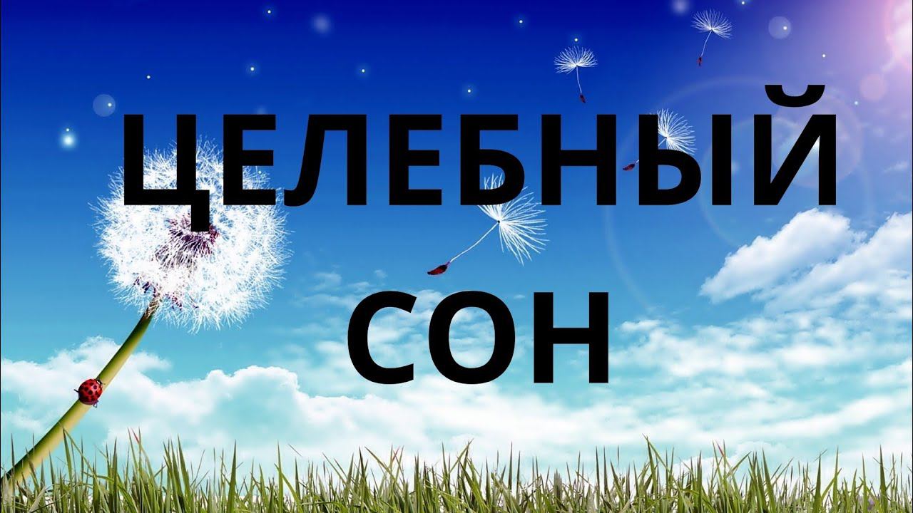 Целебный сон смотреть онлайн