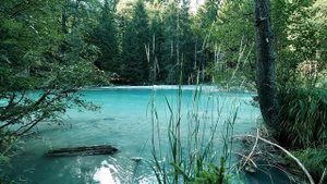 Тихое течение реки в летнем лесу.Плеск воды,пение птиц для отдыха,сна,медитации. Звуки живой природ