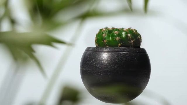 Левитирующие горшки NatureLove. Что за чудо?