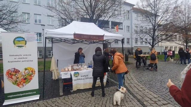 ЧЕХИЯ!!! ГОСУДАРСТВЕННЫЙ ПРАЗДНИК! #ярмарки #чехия ДЕНЬ ГОСУДАРСТВЕННОСТИ Чехословакии !!! смотреть онлайн