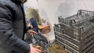 Мои методы выращивания рассады/2023/